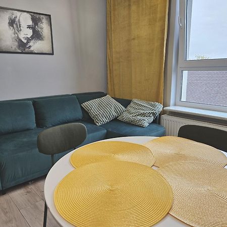 Urban Jungle - Grey Apartment ビャウィストク エクステリア 写真